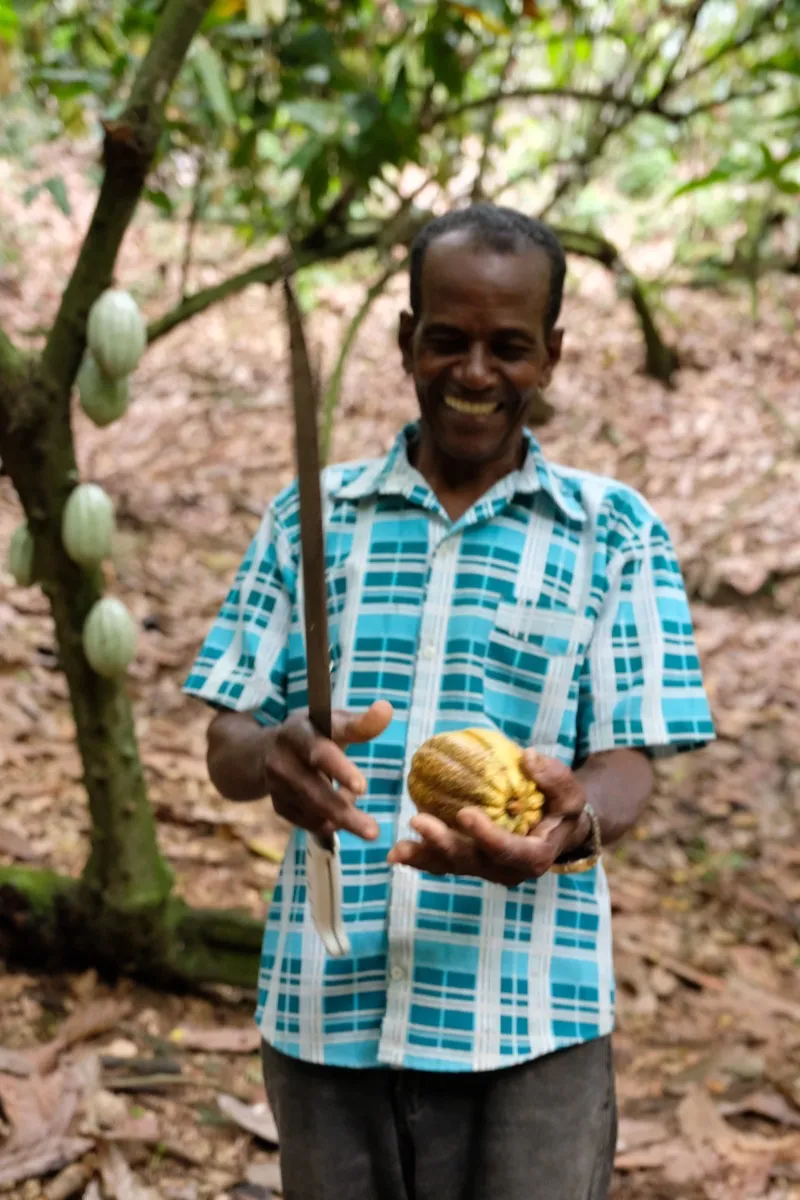Kleinbauer mit einer frisch geernteten Kakaofrucht