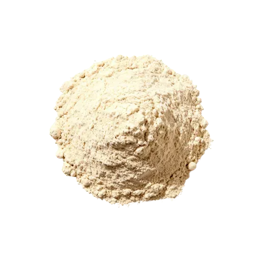 Bio Proteinpulver Vanille